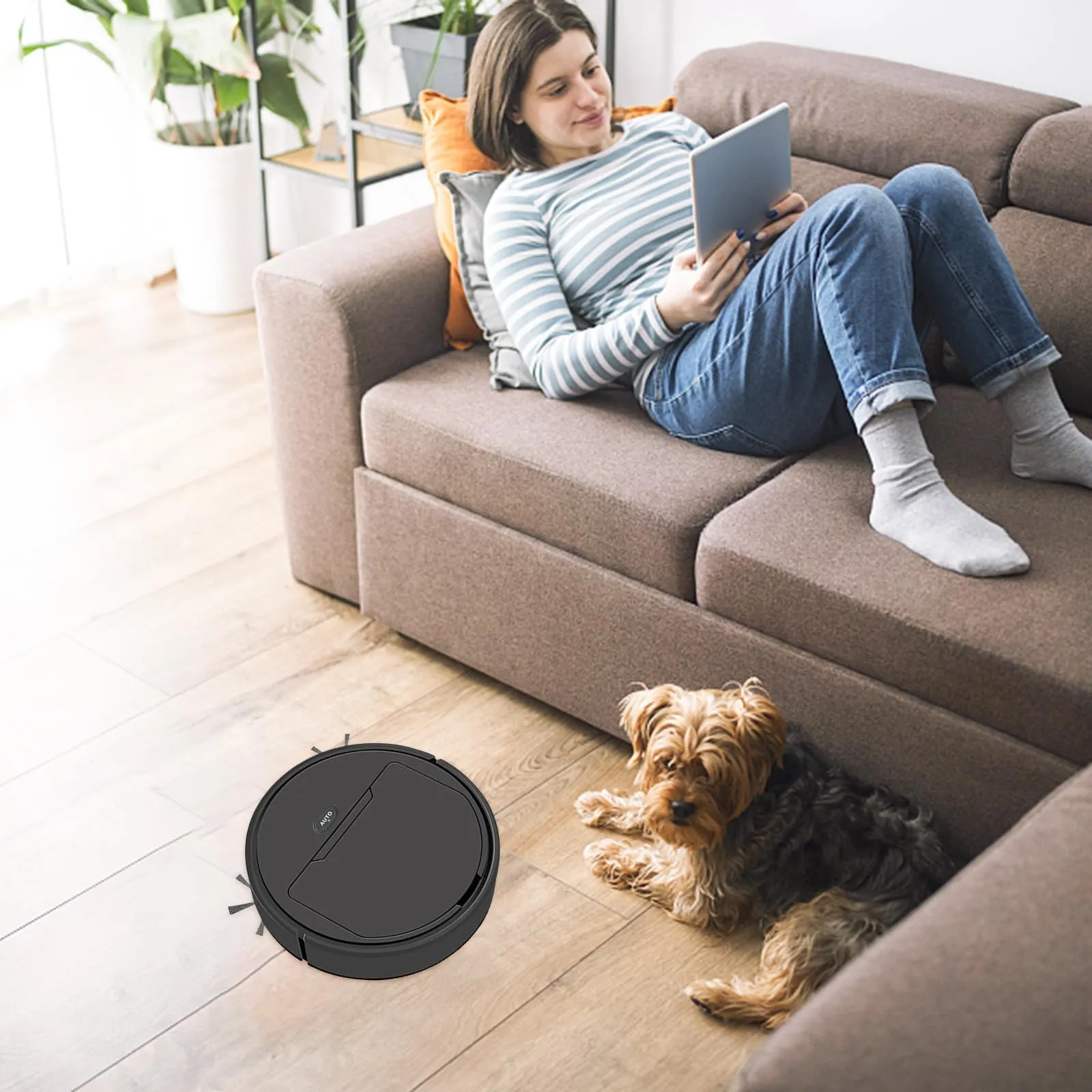 Sweeping Avoidance Intelligent Sweeping Robot Vacuum Cleaner - 60 Min Worktime, Smart ...