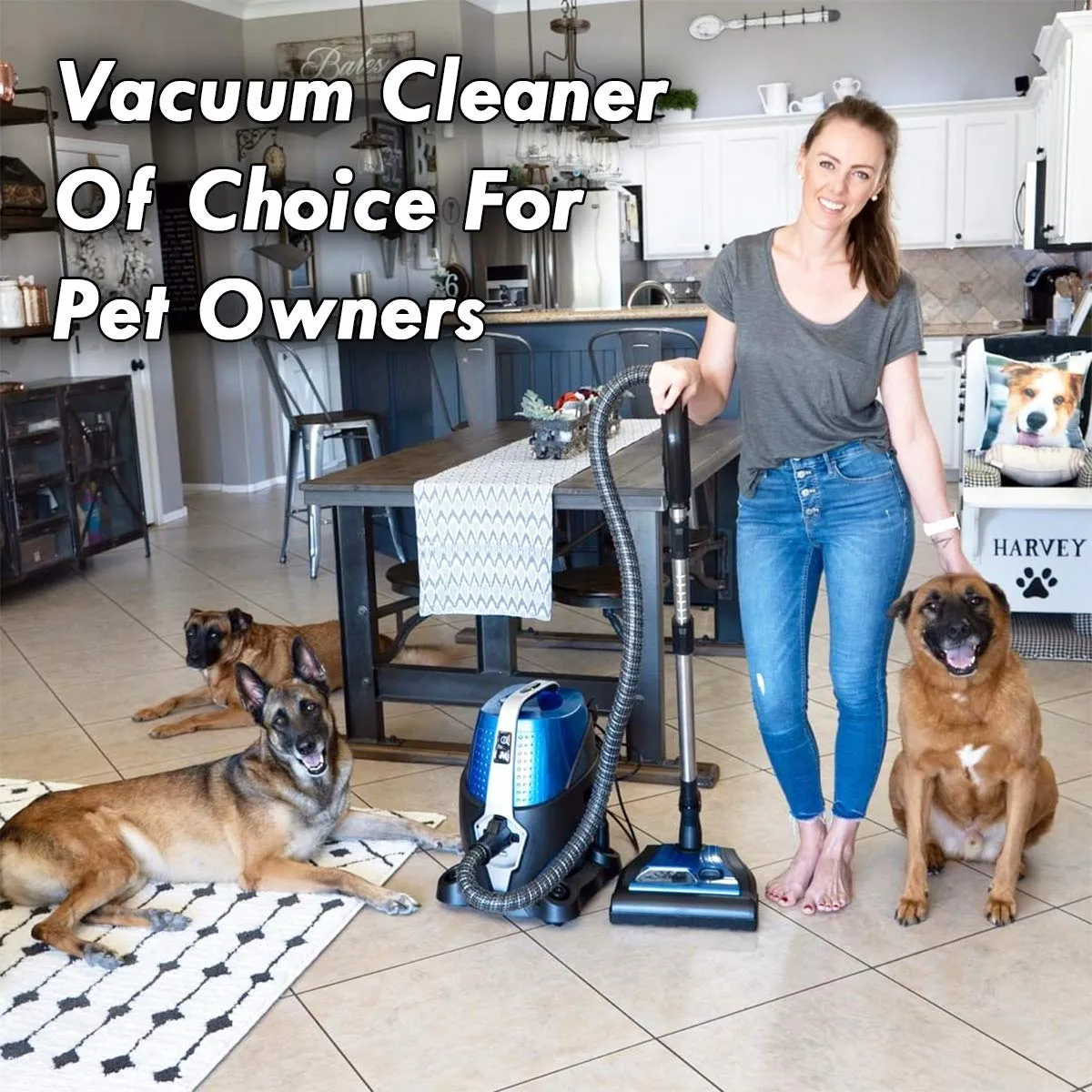 Sirena Vacuum Cleaner - 2-Speed Bagless Canister with Water Filtration for Allergy & Pet Owners - Image 5